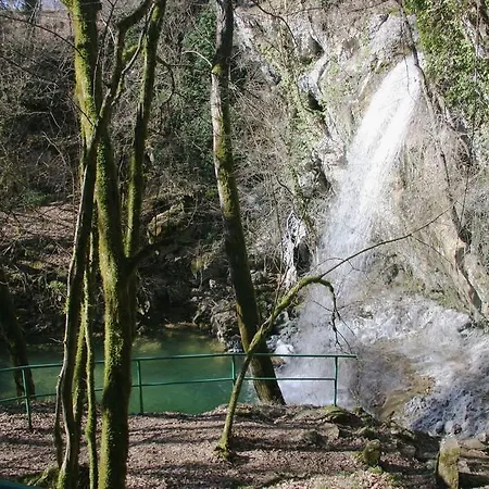 Sterna Grožnjan